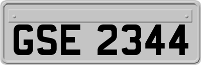 GSE2344