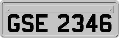 GSE2346