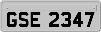 GSE2347