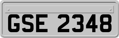GSE2348