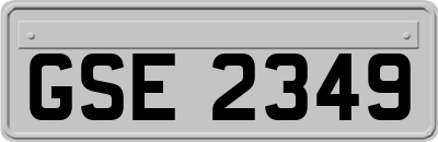 GSE2349