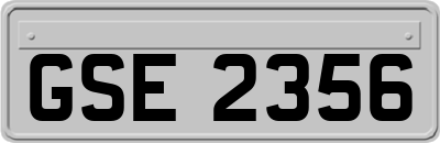 GSE2356
