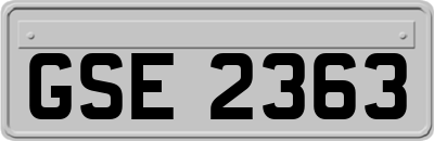 GSE2363