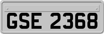 GSE2368