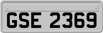 GSE2369