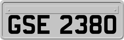 GSE2380