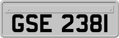 GSE2381