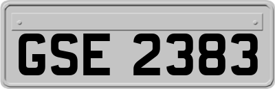 GSE2383