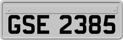 GSE2385