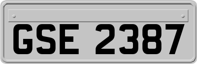 GSE2387