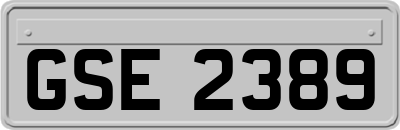 GSE2389
