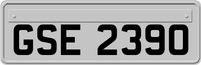 GSE2390