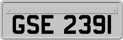 GSE2391