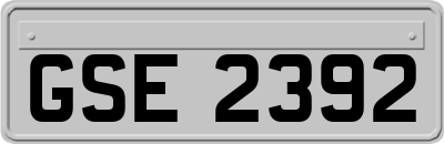 GSE2392