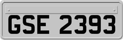 GSE2393