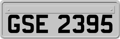 GSE2395