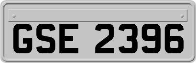 GSE2396
