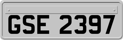 GSE2397