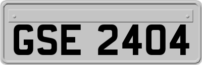 GSE2404
