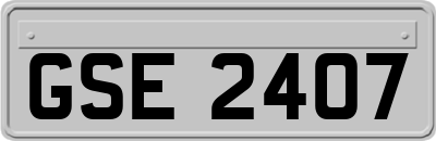 GSE2407