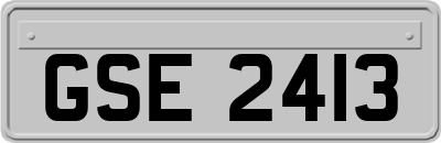 GSE2413