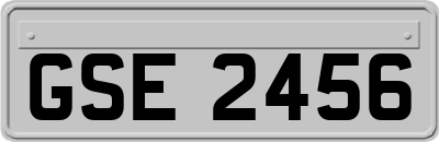 GSE2456