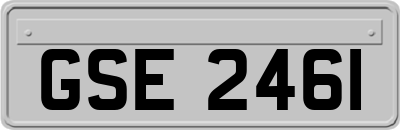 GSE2461