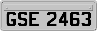 GSE2463