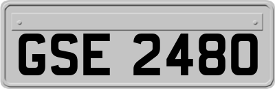 GSE2480