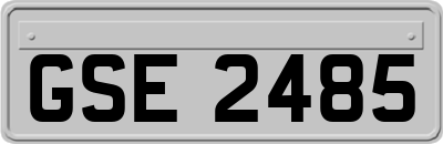 GSE2485