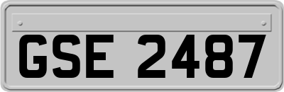 GSE2487