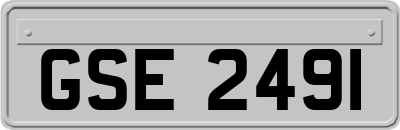 GSE2491