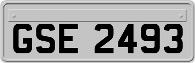 GSE2493
