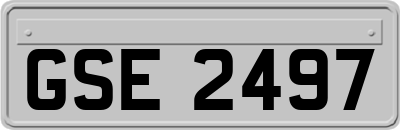 GSE2497