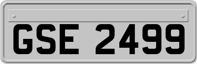 GSE2499