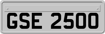 GSE2500