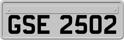 GSE2502