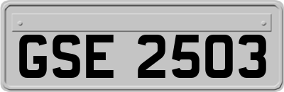 GSE2503