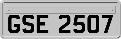 GSE2507