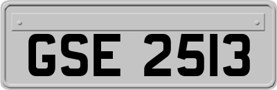GSE2513