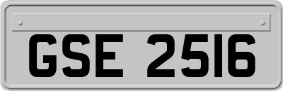 GSE2516