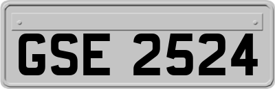 GSE2524