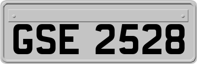 GSE2528