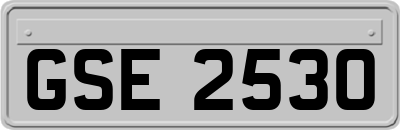 GSE2530