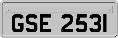 GSE2531