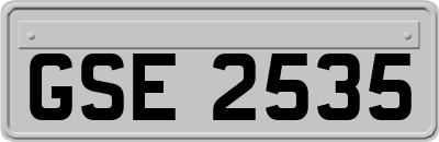 GSE2535