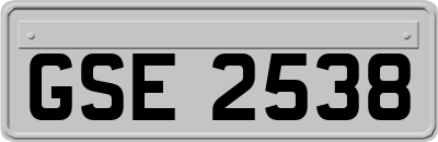 GSE2538