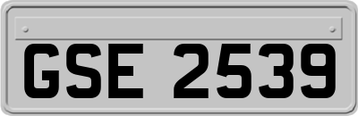 GSE2539