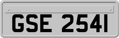 GSE2541