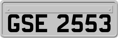 GSE2553